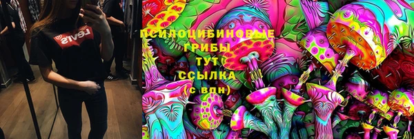apvp Арсеньев