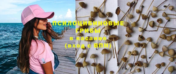 apvp Арсеньев