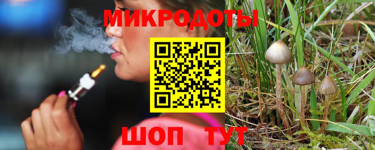 Нарткала  Псилоцибиновые грибы Psilocybe  Вход с VPN 