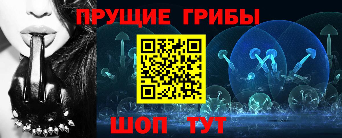 Галлюциногенные грибы Psilocybe Нарткала