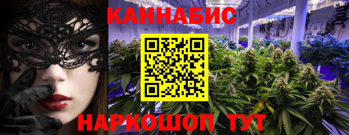 Конопля OG Kush Нарткала